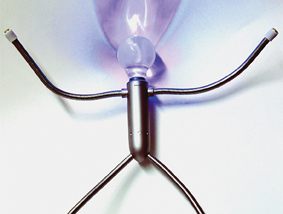 Wolfs Reviertheater – Der Seher